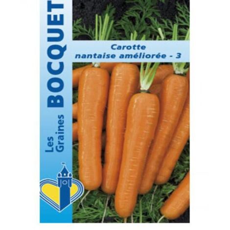 Carotte 'Nantaise Améliorée' le sachet de 3600 graines (5g) (1/2)