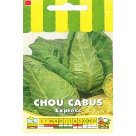 Chou 'Express' le sachet de 600 graines (3g) (1/2)