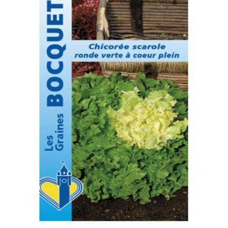 Chicorée scarole 'Ronde Verte à Coeur Plein' le sachet de 1800 graines (3g) (1/3)