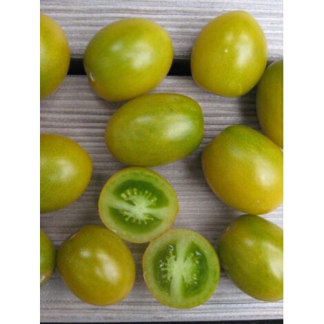 Tomate 'Green Grappe' le sachet de 100 graines (1/2)
