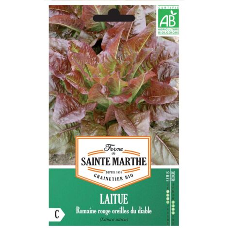 Laitue Romaine Rouge Oreilles du Diable Bio - Ferme de Sainte Marthe le sachet de 450 graines (1/2)