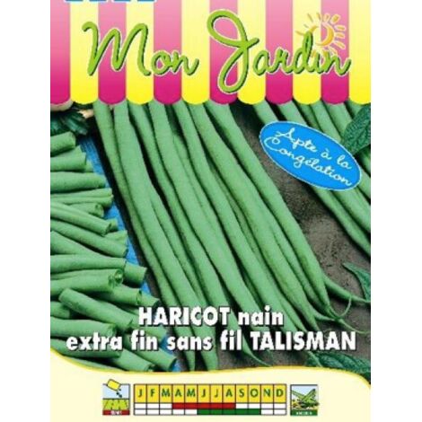Haricot nain à filet 'Talisman' le sachet de 225 graines (90g) (1/2)