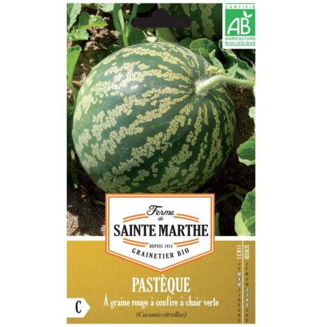 Pastèque 'à graine rouge' le sachet de 15 graines environ (3g)