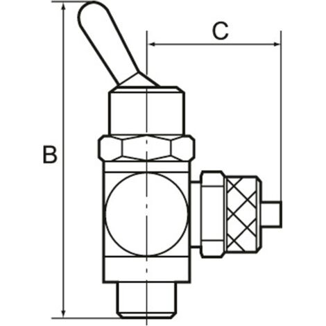RIEGLER Drosselventil G 1/4 – Beidseitig Drosselbar, Schnellverschluss, Für Schlauch 6/4, 10 Bar