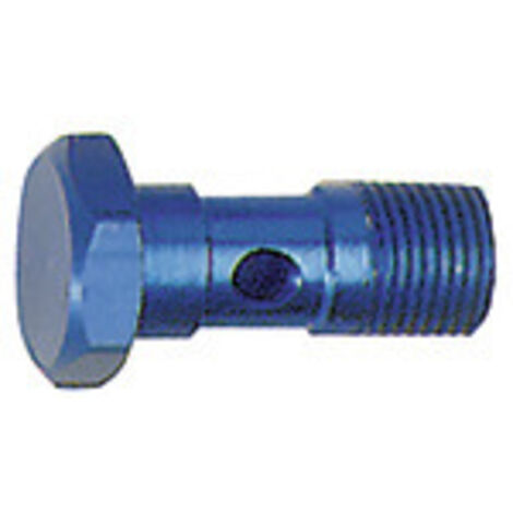 Riegler Hohlschraube, G 1/8, SW 14, Aluminium