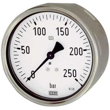 Riegler Manometer, Robustausfür, G 1/2 hinten exzentr., 0-160,0 bar, Ø 100 (1/2)