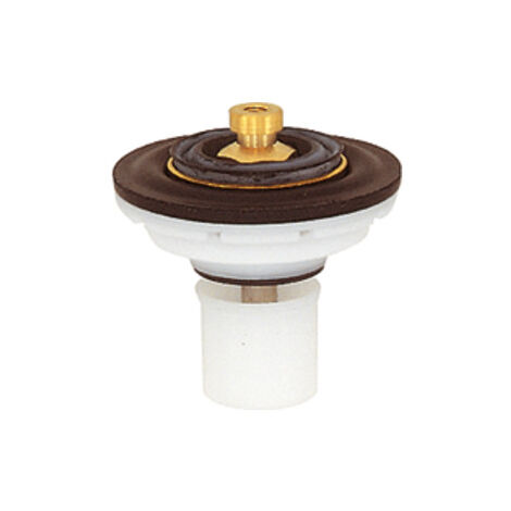 Riegler Ventilaustauschsatz für Druckregler für Trinkwasser, R 1 1/2, R 2