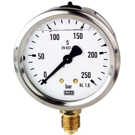 Riegler Glyzerinmanometer, CrNi-Stahl, G 1/2 unten, 0 - 16,0 bar, Ã˜ 100 (1/2)