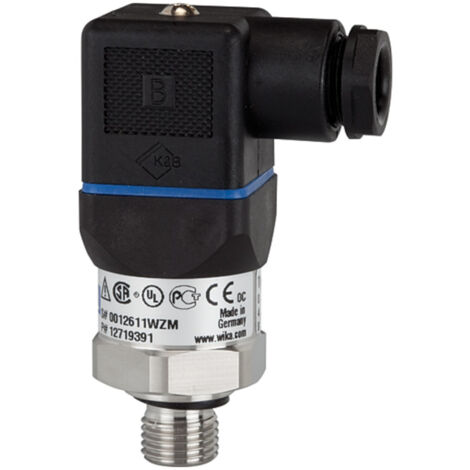 Riegler Druckmessumformer Messber. 0 - 16,0 bar, G 1/4, CrNi-Stahl 1.4404 (1/2)