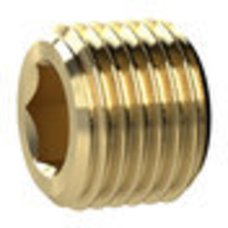 RIEGLER Verschlussschraube 111414-233.07-N - G1 Innensechskant 19mm Messing