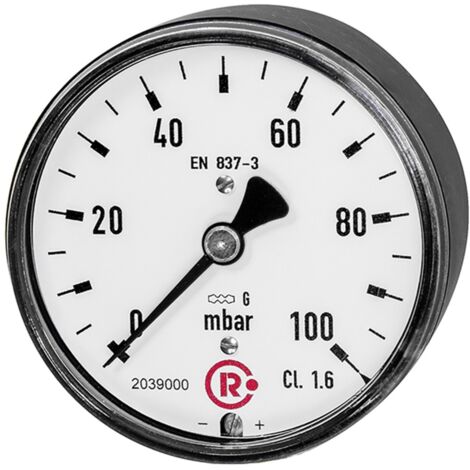 Riegler Kapselfedermanometer, G 1/4 hinten zentrisch, 0 - 250 mbar, Ø 63, 5825-R (1/2)
