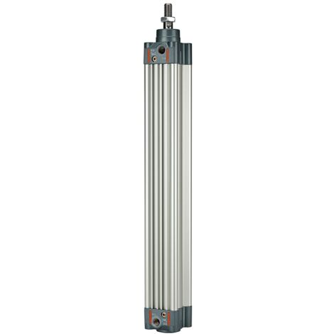 Riegler Normzylinder, doppeltwirkend, Magnet, Kolben-Ø 32, Hub 800, G 1/8