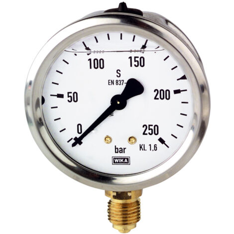 Riegler Glyzerinmanometer, CrNi-Stahl, G 1/4 unten, 0 - 250,0 bar, Ø 63 (1/4)