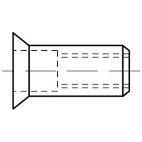 Blindnietmuttern Alu-Legierung Senkkopf M 10 / 4,0 - 6,5 S 100 Stk