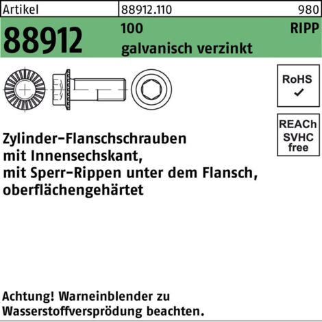 Zylinderflanschschraube R 88912 Sperr-Ripp Innen-6-kant M 6 x 12 100 galvanisch verzinkt