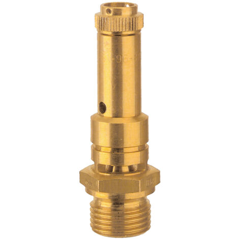 Riegler Sicherheitsventil DN 8, Messing, G 3/8, Ansprechdruck 5,9 bar (1/2)