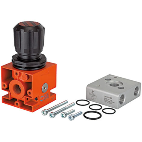 Riegler Reglereinheit (Regler+Adapter+Befestigungsteile) für Booster G3/8 (1/2)