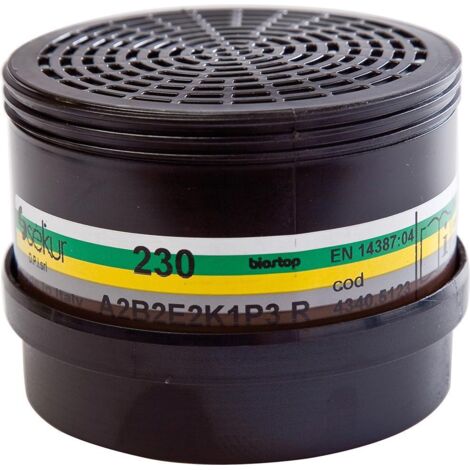 Ekastu Safety Kombinationsfilter Polimask 230, ABE2K1 P3 R D, 258