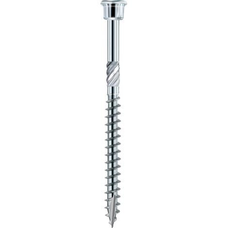 Schraube Terrassotec geh. DIN10088 4 x 40mm T15 (1/4)