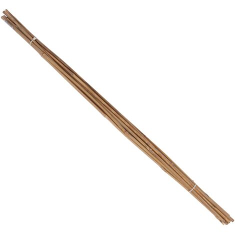 Tonkin-Pflanzstab Ø 8-10mm 120cm 10er Bund Floraworld (1/2)
