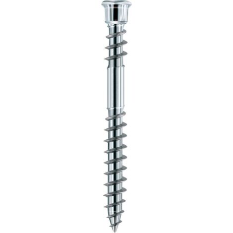 Eurotec Schraube Terrassotec geh. DIN10088 5,5x 50mm T25 200 Stk (1/4)