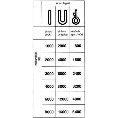 Rundschlinge mit Doppelmantel 6000kg Umfang:4m Nutzlänge:2m