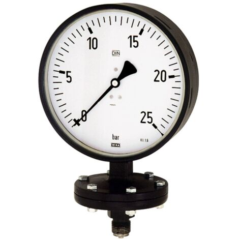 Riegler Plattenfedermanometer, Robust., G 1/2 radial unten, 0-25,0 bar, Ø 100 (1/2)
