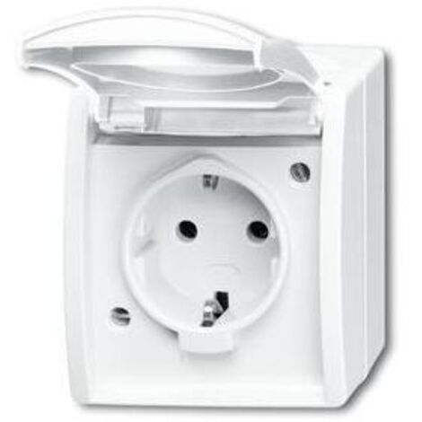 Busch-Jaeger Schuko-Steckdose mit Klappdeckel 20 EW-54 (1/5)