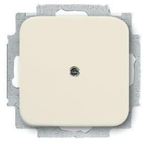 Busch-Jaeger 2538-212 Blindzentralscheibe mit Tragring (1/5)