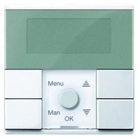 Merten Zeitschaltuhr-Modul polarweiß glänzend MEG5754-0319 (1/5)