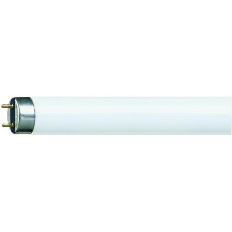 Signify MASTER TL-D Super 80 - Fluorescent lamp - Lampenleistung EM 25°C,nominal: 36 W - Energieeffizienz-Label (EEL):