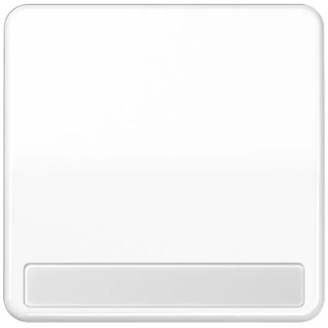 Jung Wippe Schriftfeld aws für Taster CD 590 NA WW