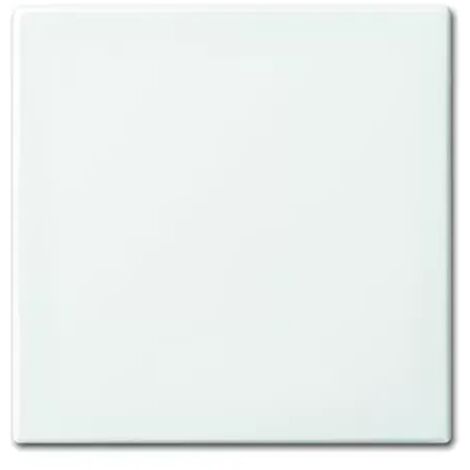 Busch-Jaeger 2546-914 Wippe anschraubbar (Halteelement) (1/2)