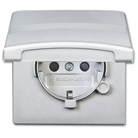 Busch-Jaeger Schuko-Steckdoseneinsatz IP44 alusilber 20 EUGKBN-33-101 (1/2)