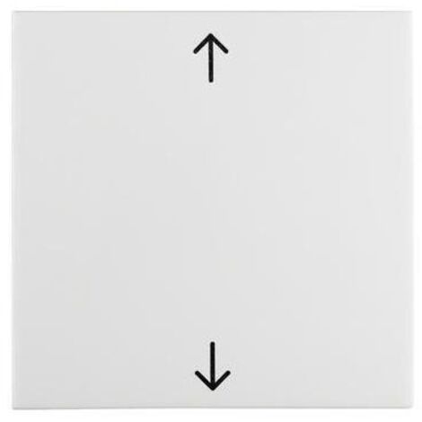 Berker Wippe pws/gl 16208919 (1/5)