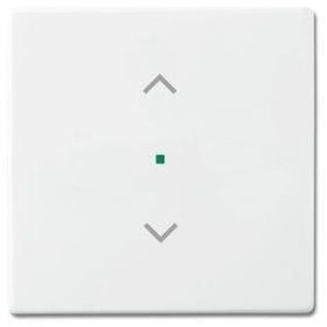 Busch-Jaeger 6232-10-84  Wippe 1-fach, mit Symbol "Jalousie"
