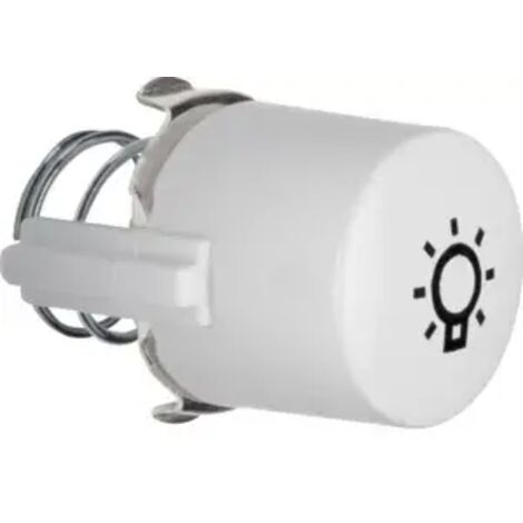 Berker Tasterknopf pws für Symbol Licht 1226