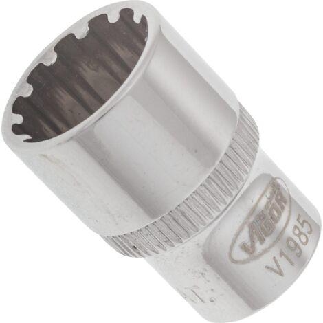 VIGOR Innenvierkant Antrieb 6,3 = 1/4 Zoll Multiprofil-Steckschlüssel-Einsatz Multiprofil V1985 Vierkant hohl 6,3 mm (1/4 Zoll) 12 Gesamtlänge: 25 mm (1/4)
