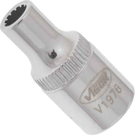 VIGOR Innenvierkant Antrieb 6,3 = 1/4 Zoll Multiprofil-Steckschlüssel-Einsatz Multiprofil V1976 Vierkant hohl 6,3 mm (1/4 Zoll) 4 Gesamtlänge: 25 mm (1/4)