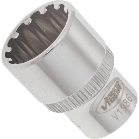 VIGOR Innenvierkant Antrieb 6,3 = 1/4 Zoll Multiprofil-Steckschlüssel-Einsatz Multiprofil V1986 Vierkant hohl 6,3 mm (1/4 Zoll) 13 Gesamtlänge: 25 mm (1/4)
