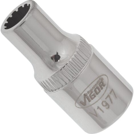 VIGOR Innenvierkant Antrieb 6,3 = 1/4 Zoll Multiprofil-Steckschlüssel-Einsatz Multiprofil V1977 Vierkant hohl 6,3 mm (1/4 Zoll) 5 Gesamtlänge: 25 mm (1/4)