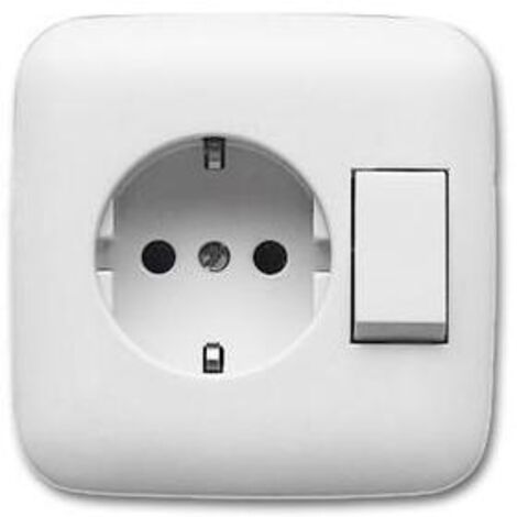Busch-Jaeger 4310/6 EUJ-214 Kombination SCHUKO® Steckdose mit Wippschalter