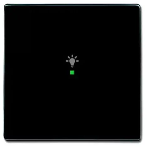 Busch-Jaeger Wippe 1-fach, Symbol Licht anthrazit 6231-10-81 (1/2)