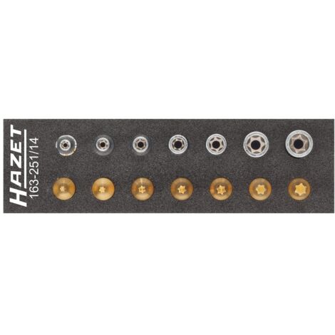 Hazet Werkzeug Satz, TORX, Vierkant hohl 6,3 mm (1/4), Außen TORX Profil, Innen TORX Profil, E4 - E11, T10 - T40, Anzahl Werkzeuge: 14