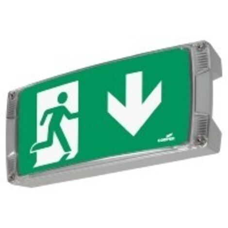 Ceag Notlichtsysteme LED-Einzelbatterie-Leuchte m.autom. Funkt.test AtlanticLED SCGLine+ (1/2)