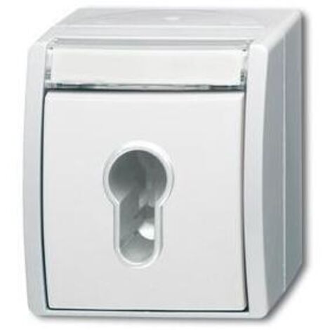 Busch-Jaeger Schlüsselschalter 2733 SLW-54 (1/5)