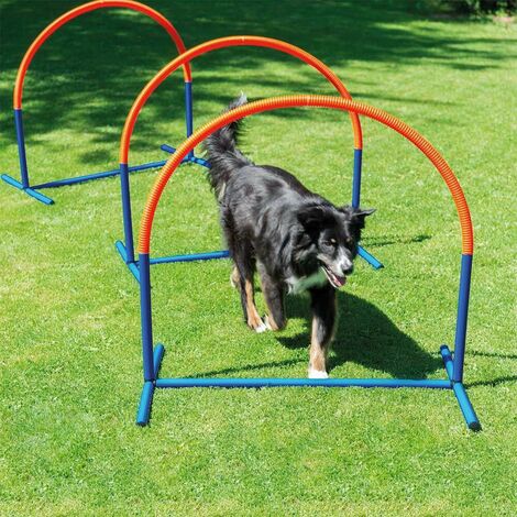 Hoopers Hunde Agility Bogen 1 Stuck