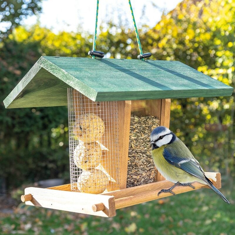 Mangeoires pour oiseaux sauvages d'extérieur avec 3 tasses d'eau, mangeoires  pour jardin et cour - AliExpress