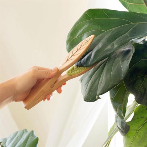 Leaf Cleaning Tongs,Plant Tongs