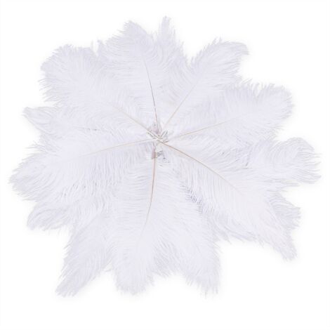 Niaciswe Plumes d’Autruche 10 Pièces Plumes d'Autruche Naturels 25–30